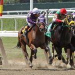 競馬予想サイトの選び方をチェック