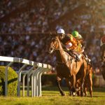 競馬の予想は回収率を上げることで利益率をアップできる！