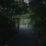 日本の神社の歴史は文字が伝わる以前から